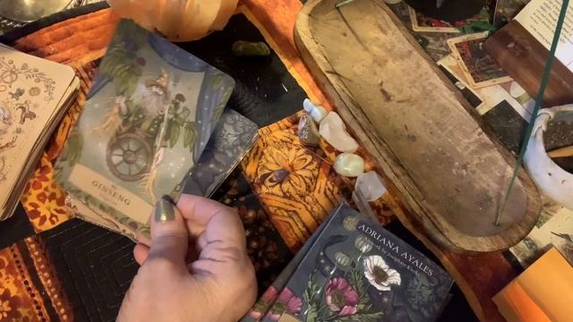 THE HERBAL ASTROLOGY ORACLE - Such a beautiful informative deck смотреть онлайн