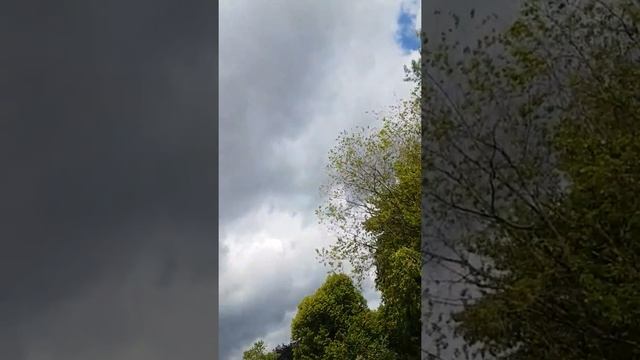 Esslingen am Neckar #stuttgart #baden-württemberg смотреть онлайн