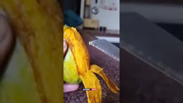 mango ma snake nkla video and tk dekho by anif77 смотреть онлайн