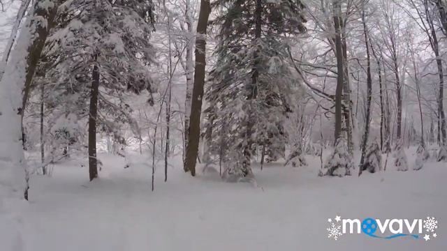 Январские каникулы. Лагонаки.