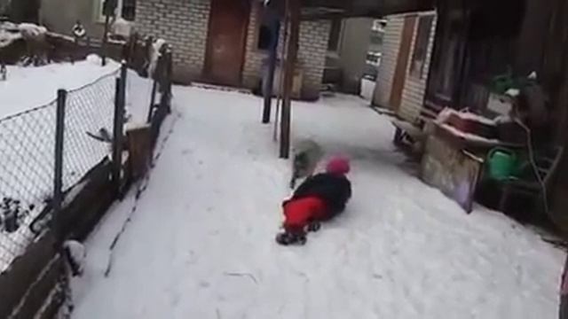 Мальчик играет со свиньей смотреть онлайн