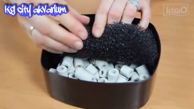 Tetra 700 filter сколько мусор за 3месяца внешний фильтра Тетра 700 смотреть онлайн