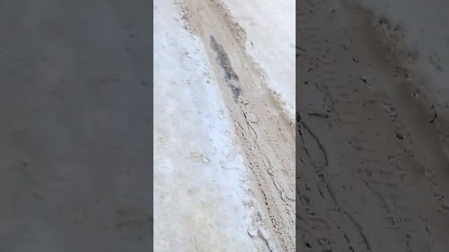 Нашёл машину с известными наклейками смотреть онлайн
