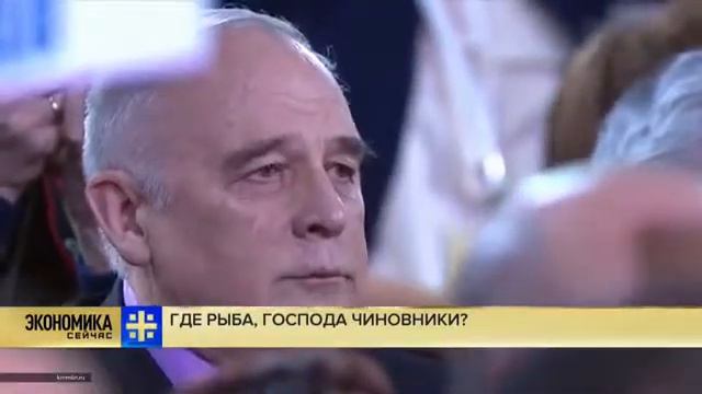 Где наша рыба, господа!? смотреть онлайн