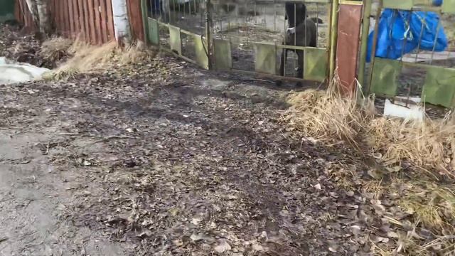 Путешествие по садоводствам Часть 3 Электросила 9 смотреть онлайн