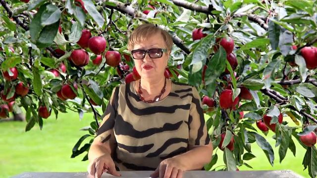 Серебряное блюдечко и наливное яблочко. Сказка. #193 смотреть онлайн