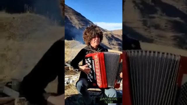 Даргинская мощная песня на природе🔥🔥🔥 смотреть онлайн