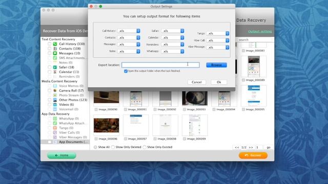Tenorshare IPhone Data Recovery - восстановление данных и удаленных фото на IPhone