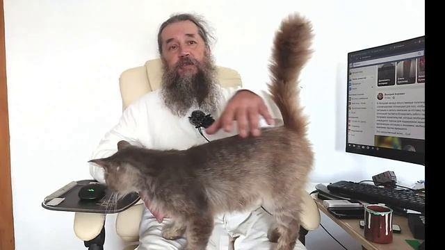 Тюря возвращается к съемкам смотреть онлайн