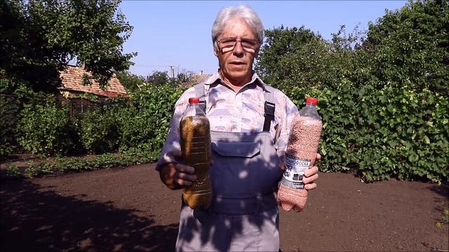 Клубника. Сидераты. Подготовка почвы для посева горчицы. смотреть онлайн