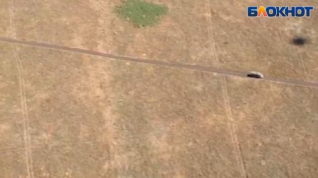 Чиновники с душой десантника прыгнули с парашютом смотреть онлайн