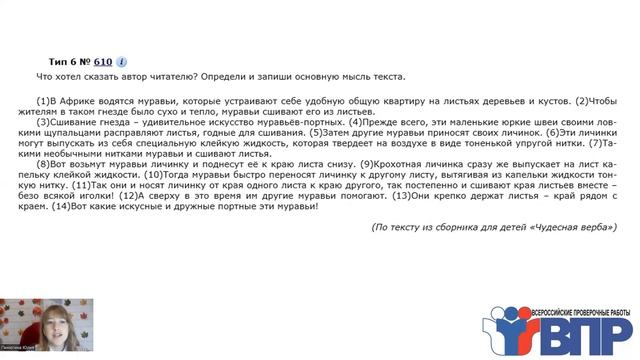 Разбор заданий типа 6. Основная мысль текста смотреть онлайн