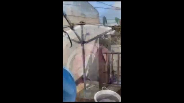 Ведро силиконовое складное смотреть онлайн