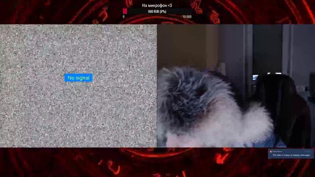 ЧАТ РУЛЕТКА - МНОГО ПОНОСА смотреть онлайн