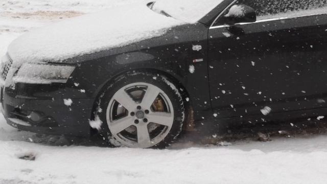 ЦЕНИТЬ НЕЛЬЗЯ ИСПОЛЬЗОВАТЬ/Собаки любят нас всякими. Стихи Некрасов Н. А. ???? смотреть онлайн