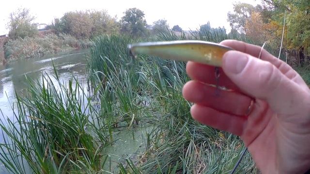 Ловля щуки на воблеры на мелководье . Топ воблеров на щуку смотреть онлайн