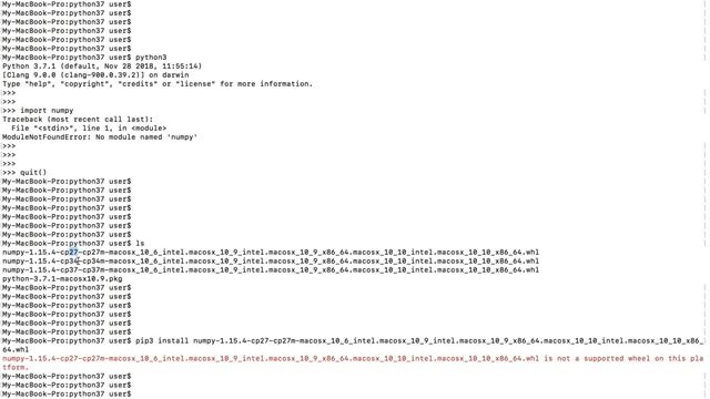 Python filename.whl is not a supported wheel on this platform смотреть онлайн