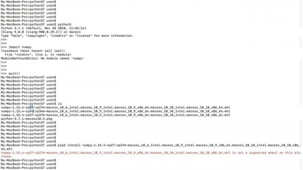 Python filename.whl is not a supported wheel on this platform