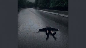 🤍 Рем Дигга - я или он 🖤