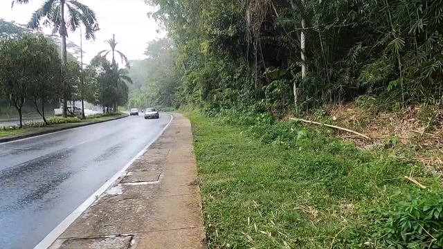 Сандакан Борнео Sabah Hotel 4* Часть II