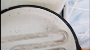 Почистить тен в стиральной машине Атлант