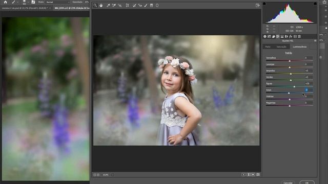 Photoshop 2020 edição de foto com plug-in Nik Collection смотреть онлайн