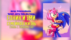 Sonic The Hedgehog/Фанфик - Соник и Эми. Семейная Жизнь - Глава 1