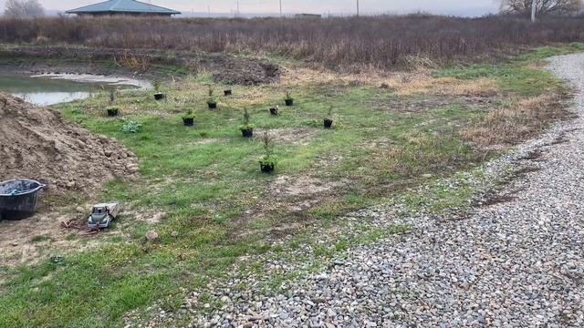 Заказали баню за кучу денег и ошалели, переделал вентиляцию смотреть онлайн