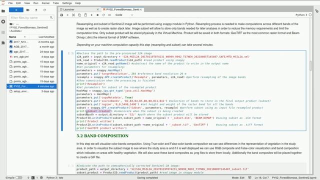 RUS Webinar: Estimation of Forest Above-Ground Biomass with Sentinel-2 - PY02 смотреть онлайн
