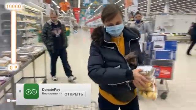 СТРИМ: Закупка корма для хвостиков с Бусей // Екатеринбург (часть 2) смотреть онлайн