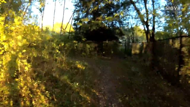 Велопрогулка по осенней Дубраве (Минск, за кольцевой) (доступно 4K) смотреть онлайн