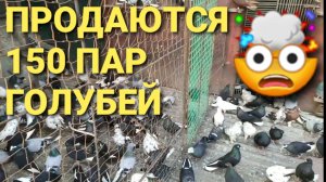 Video.Guru_20220420_205452781.mp4