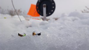 НА этой МИКРО-РЕЧКЕ ПОЛНО рыбы! Жерлицы и безмотылка! Рыбалка зимой