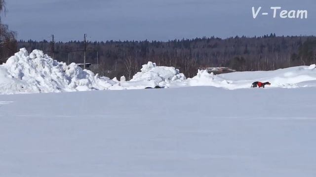 Уиппеты AGATA KRISTI (К) - STANGERS LAND ALKIONA (С). Мартовский заяц - 2019. смотреть онлайн