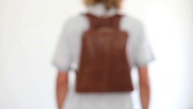 Royce Slugger M1 Innovative Casual Leather Backpack for Men & Women смотреть онлайн