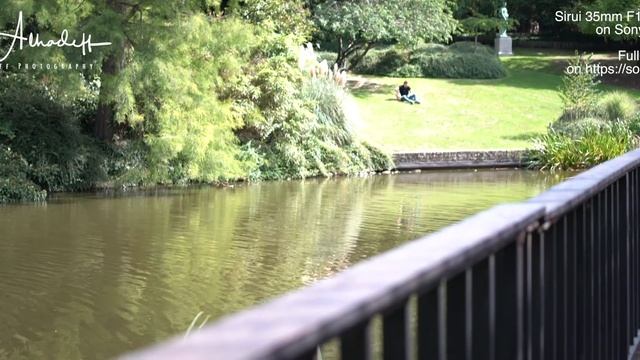 Sirui 35mm F1.8 Anamorphic On Sony A6600