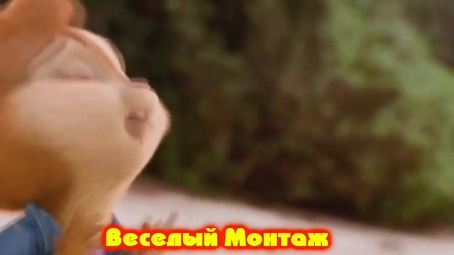 Ты Моя Нежность Ты мое Чудо поют Элвин и Бурундуки смотреть онлайн