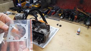 Бензопила сама набирает обороты, подсос воздуха. CARVER Promo