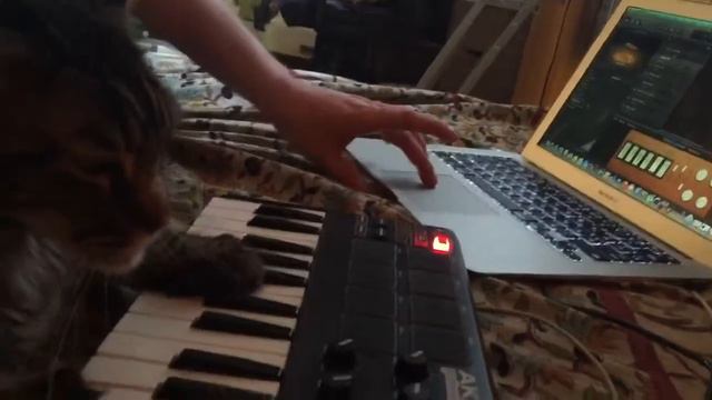 мейн кун Ниндзя играет на MPK смотреть онлайн