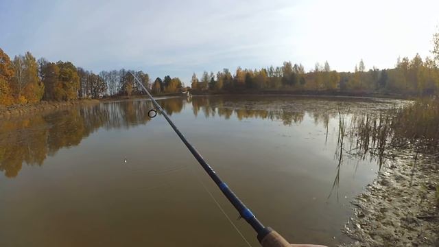 Осенняя рыбалка на спиннинг. Поиск хищника в трех разных местах. Нашли щучку. смотреть онлайн