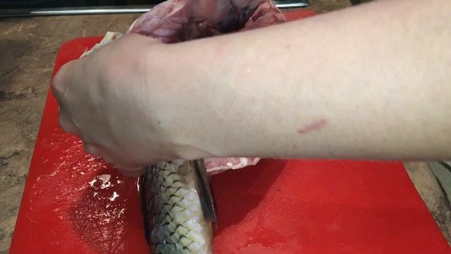 Томленый Сазан. Fish. Dinner смотреть онлайн