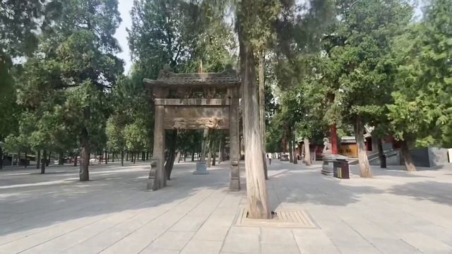 Почему в Китае практикуют лицом на Юг. Тайцзи, Цигун, Шаолинь. смотреть онлайн