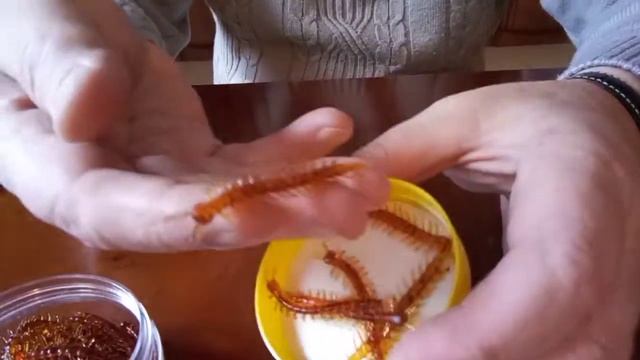Приманка для микроджига, бомбарды, поплапоппера, поплавочной удочки и даже морской рыбалки! смотреть онлайн