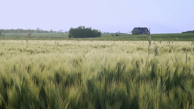 "Ты снова мне скажи" Здравствуй песня смотреть онлайн