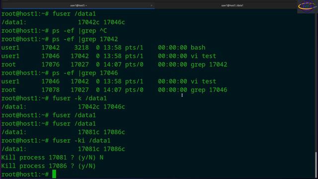 Linux Command - fuser смотреть онлайн