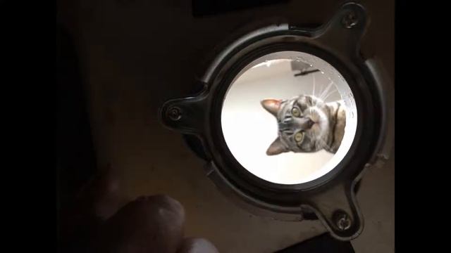 Cute Pictures, Unnerving Music