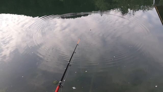 За форелькой в частный пруд. смотреть онлайн