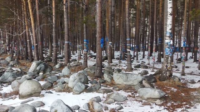 Аршан и окрестности - источник, каменная река и вулканы с квадрокоптера