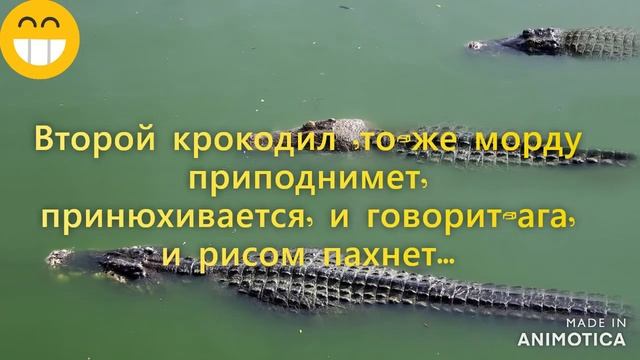 Анекдот дня.Плывут по Нилу ,три крокодила...Солдатский юмор!!! смотреть онлайн