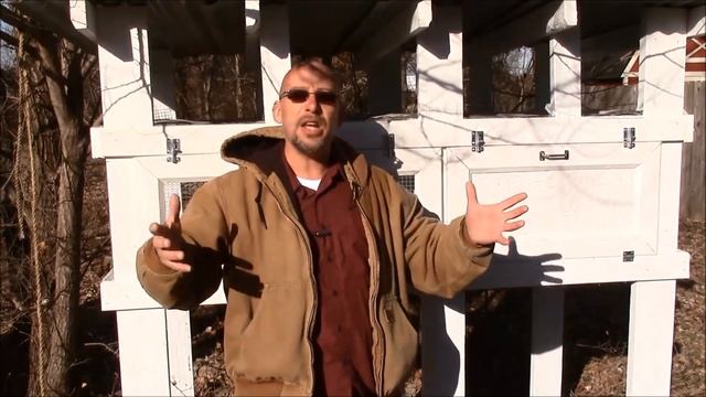 How Many Quail Should You Get? - The SR Quail Update 1-8-17 смотреть онлайн